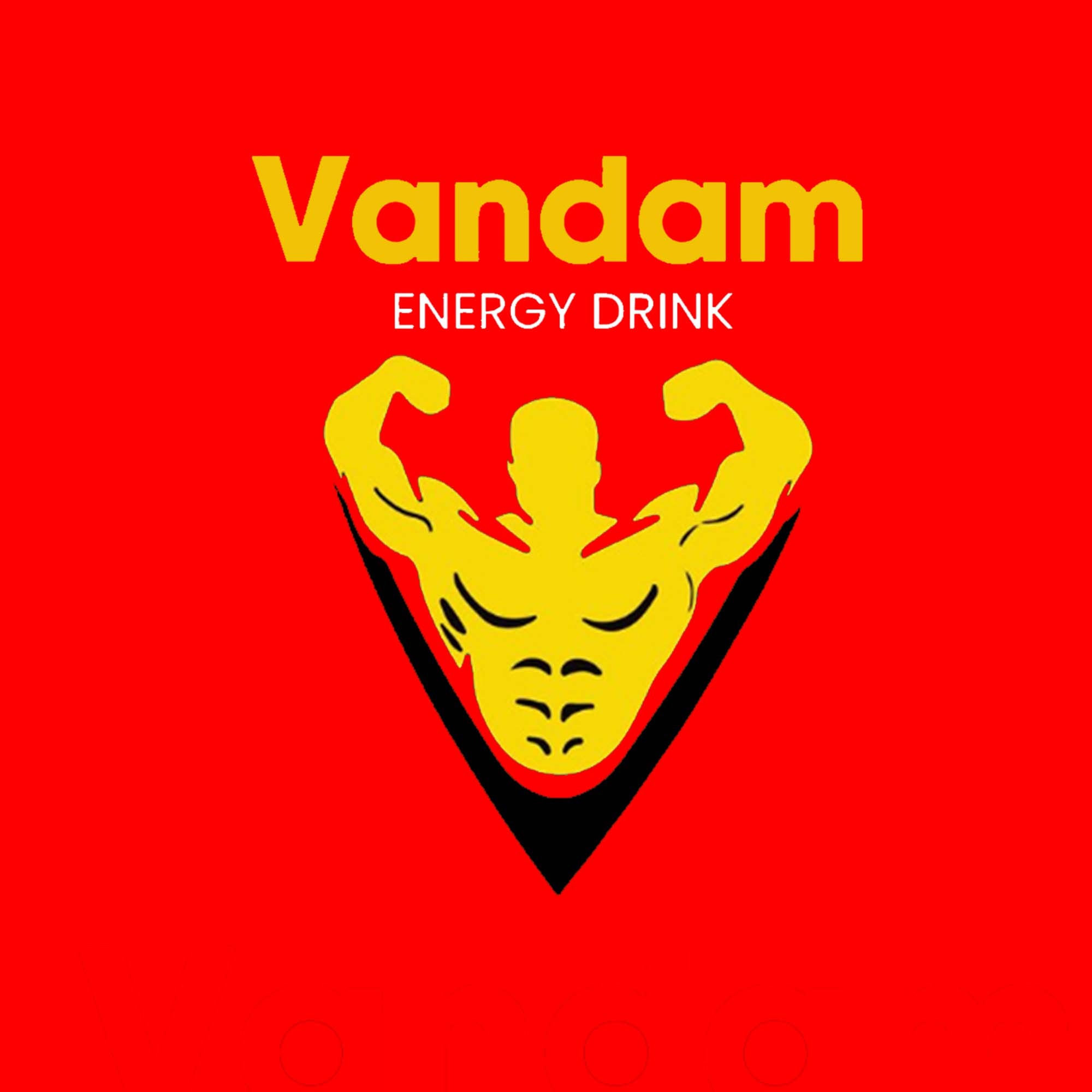 Vandam Energy Mali